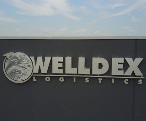 Welldex-18.00_00_30_18.Still003