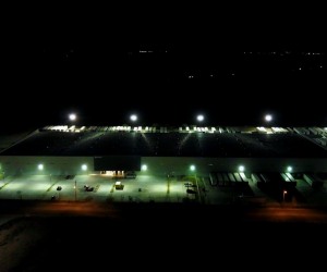 Welldex-19.00_00_40_18.Still003