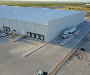 Welldex-19.00_02_42_26.Still009